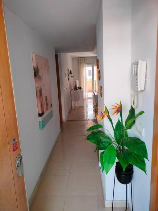 Apartament Bajo Con Jardin A Pie De Playa Y Piscina Comunitaria Con Jacuzzi Playas de Vera Zewnętrze zdjęcie